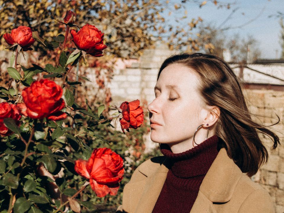 Уход за розами в сентябре: секреты осеннего цветения