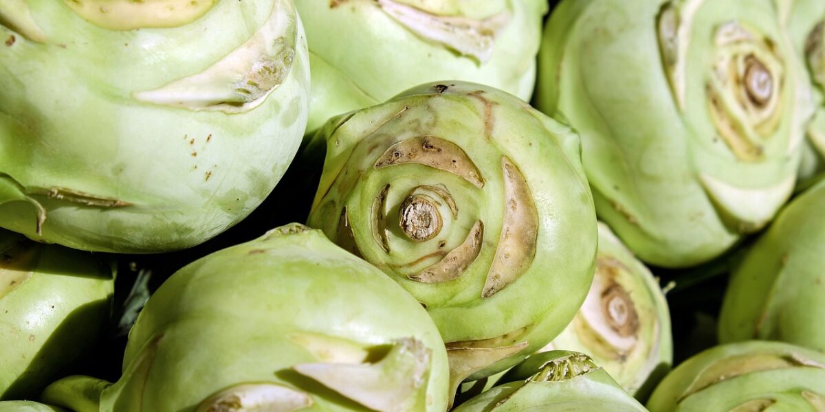 Image for: Маринованная капуста: простой рецепт для женщин. Tags: кольраби, овощи, дикая капуста, немецкая репа, капуста...