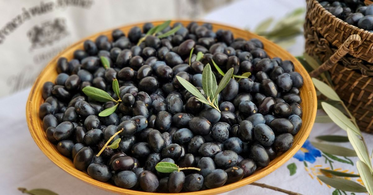 Оливки и маслины: в чем разница и как выбирать – полезные советы хозяйке