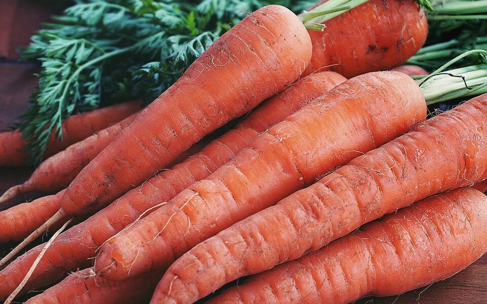 Как сохранить морковь свежей до весны: секреты хранения в песке