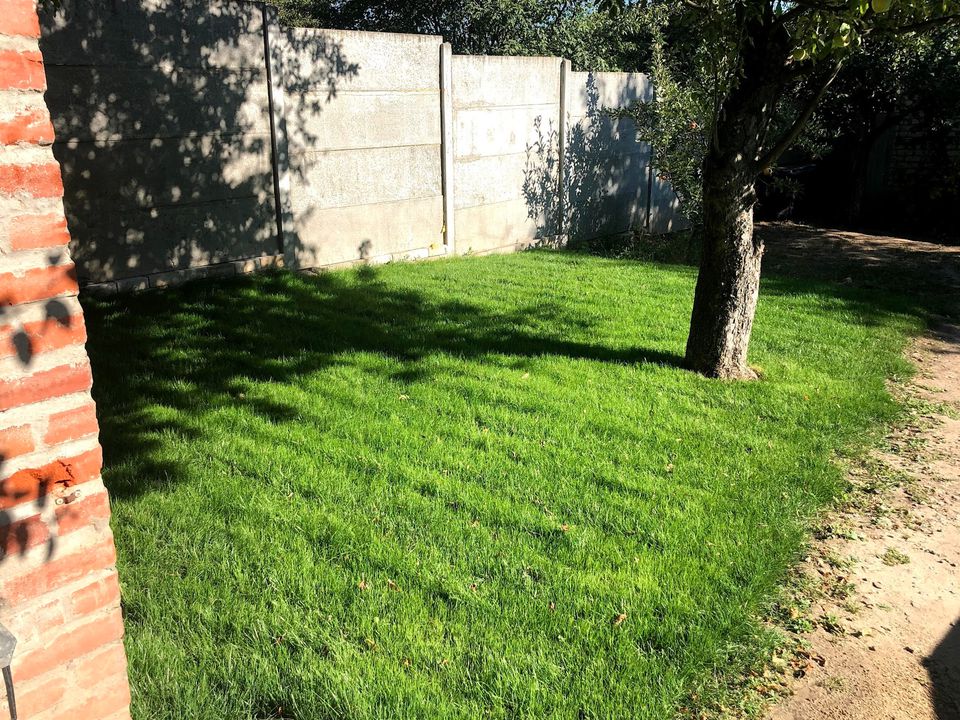 Как оживить газон весной: советы для идеальной лужайки