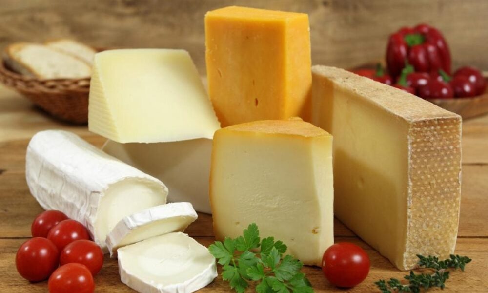 Как правильно хранить сыр в холодильнике: советы хозяйкам