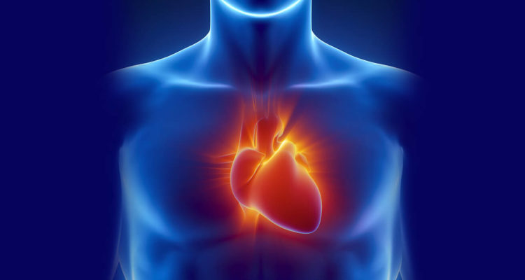 6 сигналов организма, которые нельзя игнорировать: проверьте здоровье сердца