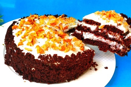 Шоколадный торт на кефире: простой рецепт для начинающих