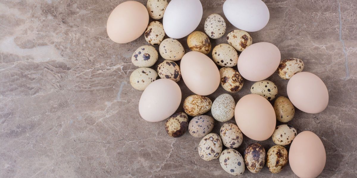 Яйца: куриные или перепелиные – что полезнее для женского здоровья?