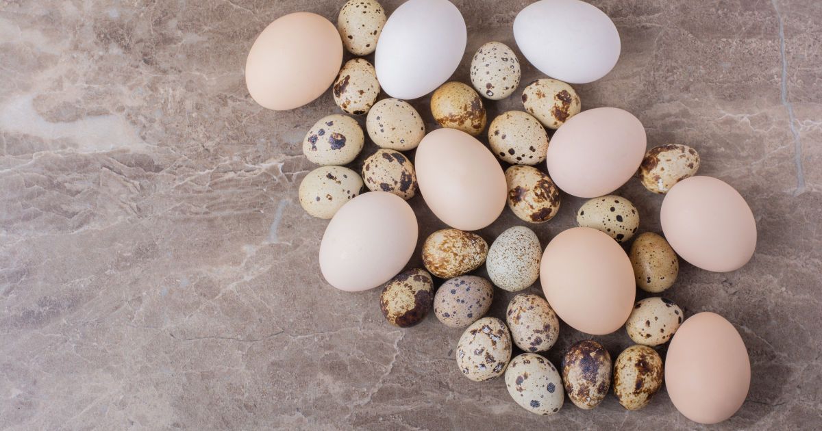 Яйца: куриные или перепелиные – что полезнее для женского здоровья?