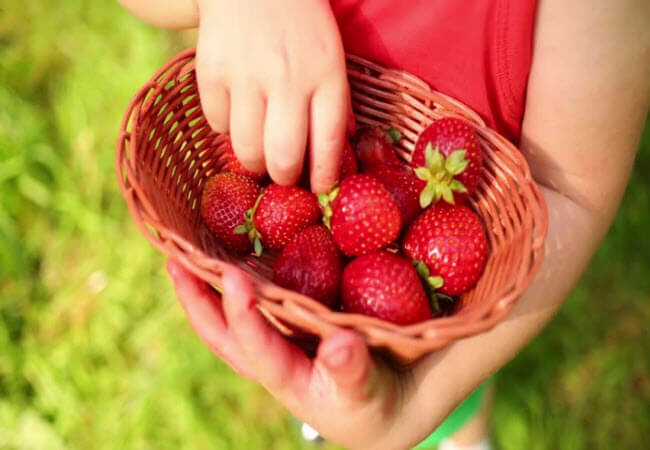 Клубника для женского здоровья: почему ее нужно есть как можно больше