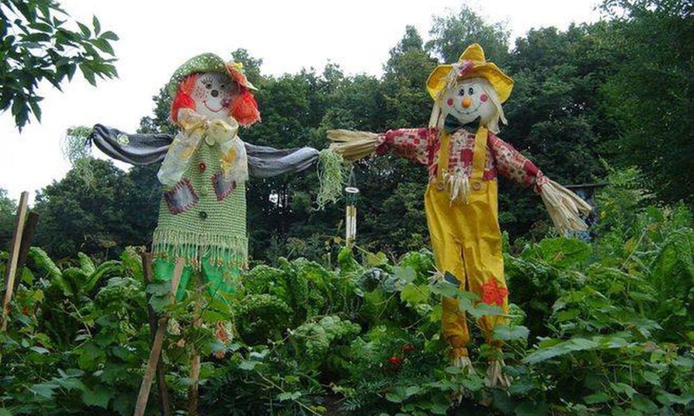 Секреты богатого урожая: как защитить огород от негативного влияния