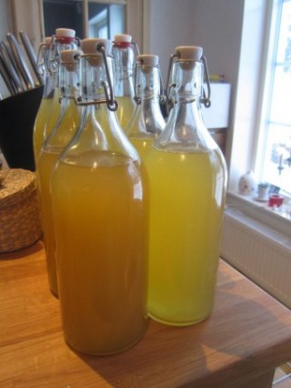 Простой рецепт медовухи в домашних условиях без специального оборудования