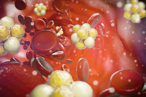 Холестерин под контролем: советы для женского здоровья