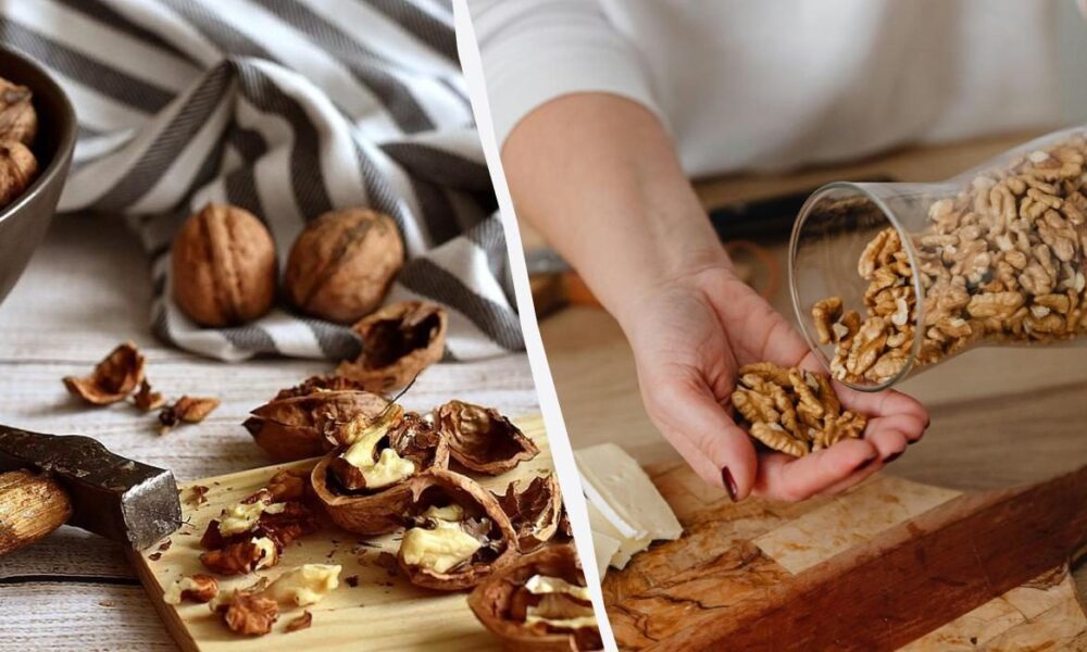 Как правильно хранить грецкие орехи: советы для хозяек