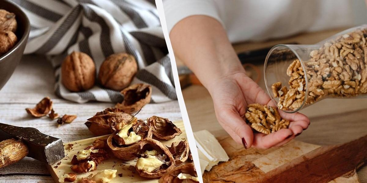 Как правильно хранить грецкие орехи: советы для хозяек
