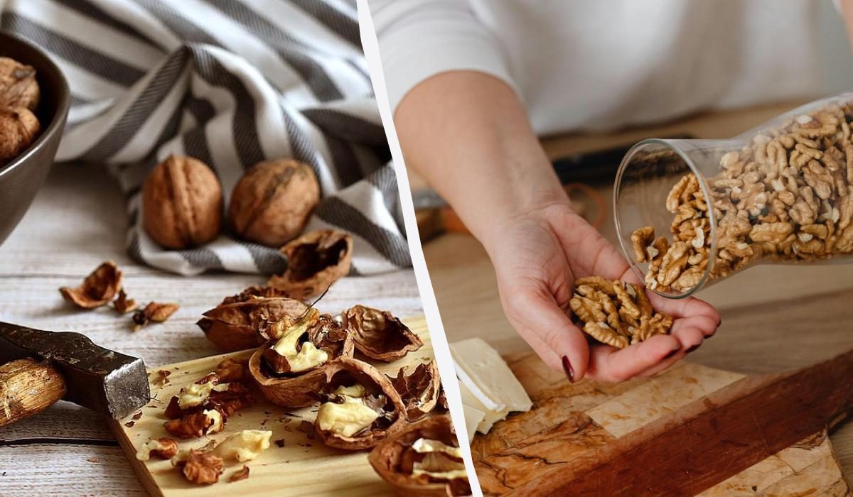 Как правильно хранить грецкие орехи: советы для хозяек