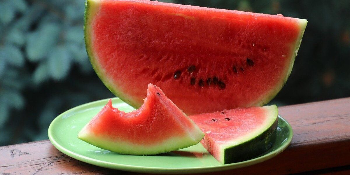 Арбузные корки в огороде: как использовать с пользой для урожая