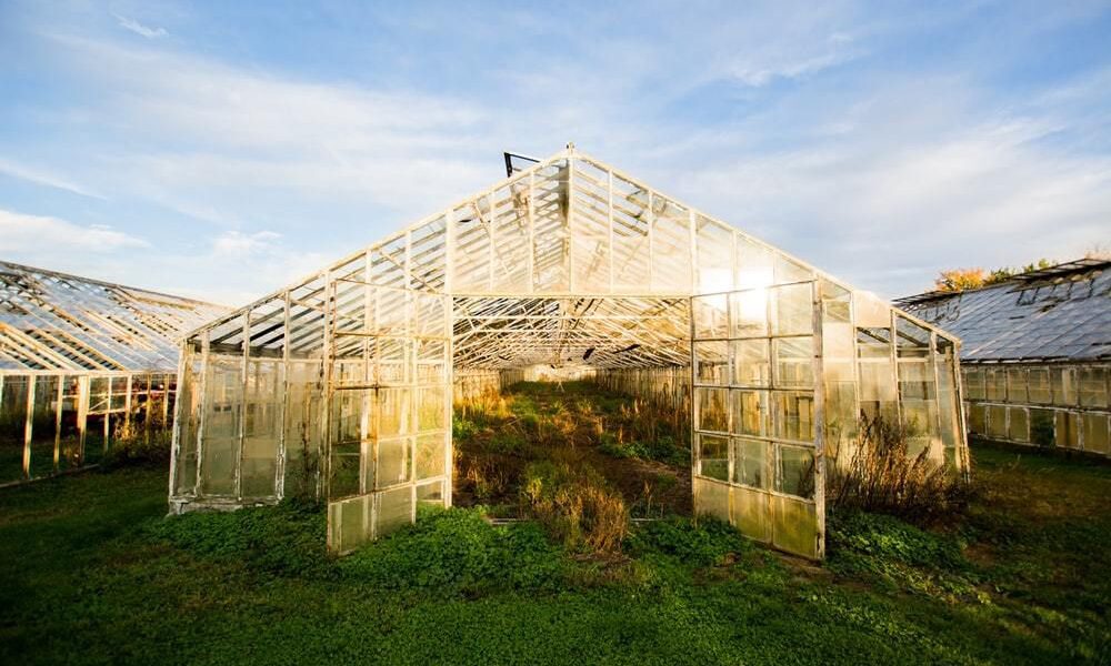 Подготовка теплицы к зиме: эффективная дезинфекция для богатого урожая