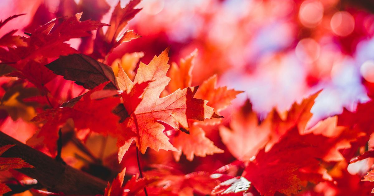 Именины в сентябре: как поздравить с Днем ангела