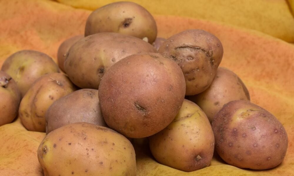 Как сохранить картофель от прорастания: простые советы для хозяйки