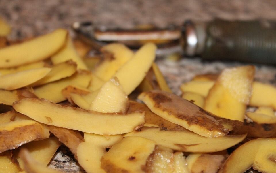 Натуральное удобрение своими руками: картофельные очистки для богатого урожая