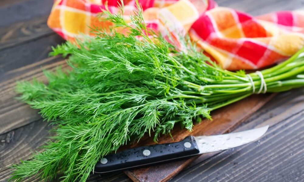 Секреты добавления зелени: когда и как улучшить вкус блюда