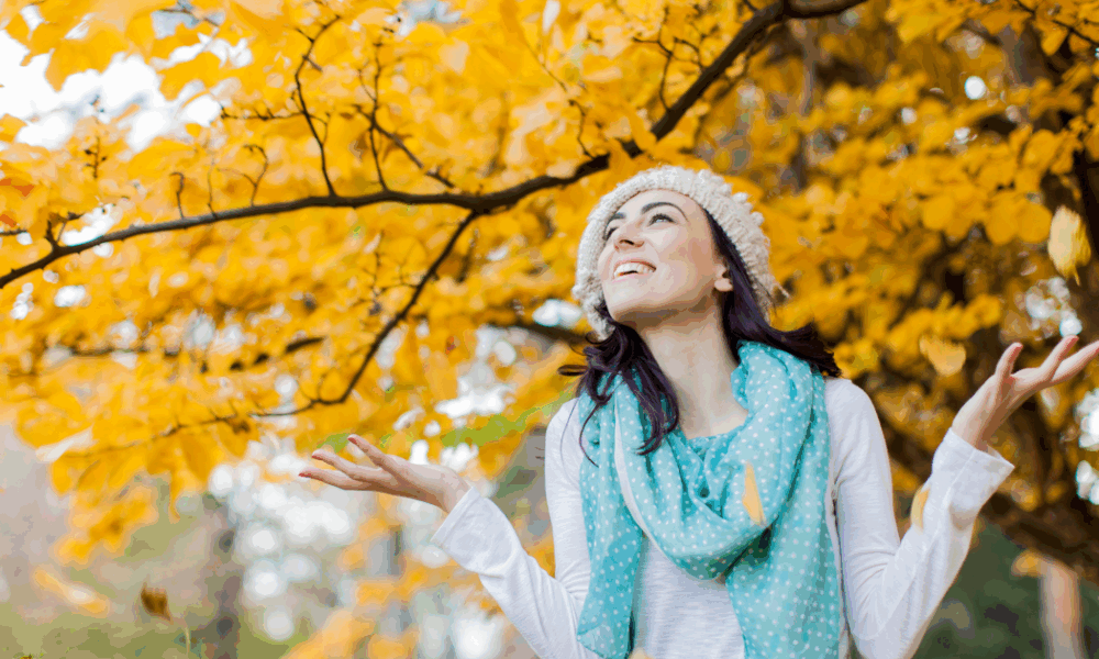 22 октября: какой праздник отмечаем, церковные традиции и что нельзя делать хозяйке