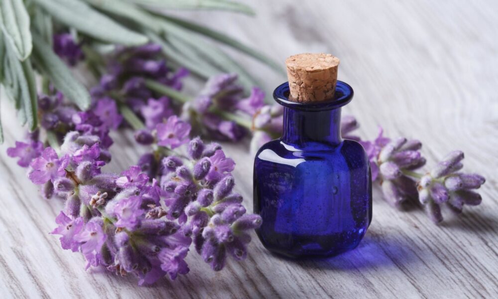 Цветочный уход за кожей: лаванда, ромашка и другие секреты красоты