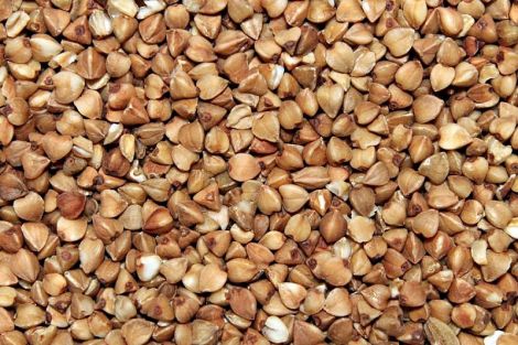 Гречка для здоровья: как приготовить, чтобы получить максимум пользы