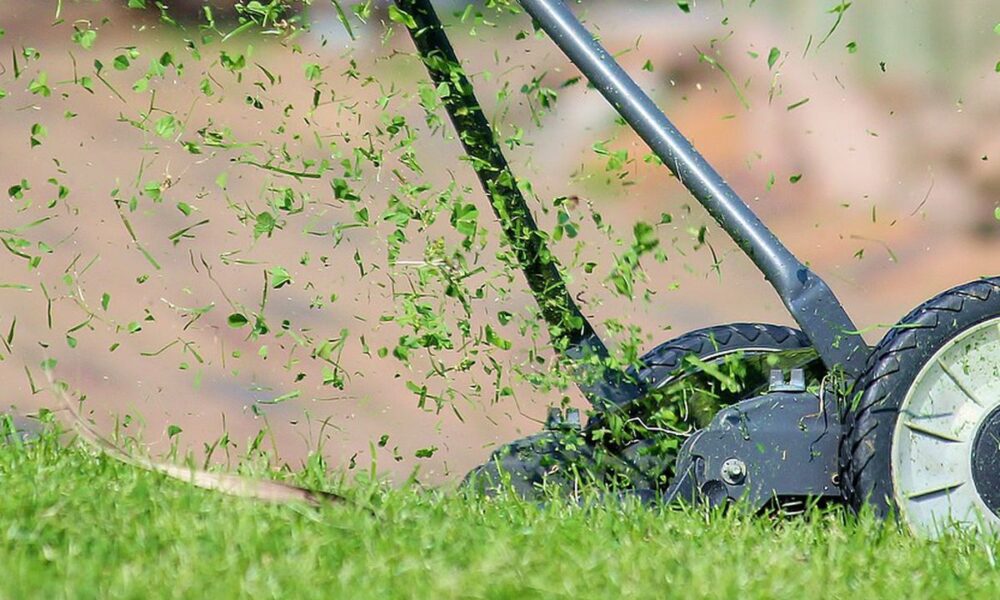 Осенний уход за газоном: советы для красивой лужайки