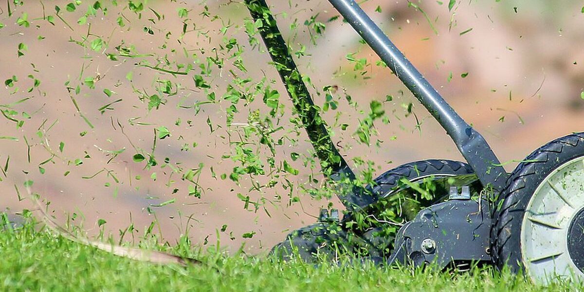 Осенний уход за газоном: советы для красивой лужайки