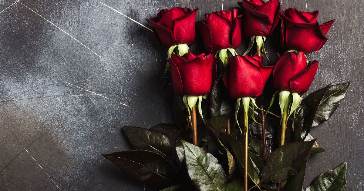 Тайны роз в доме: почему не стоит держать их в квартире