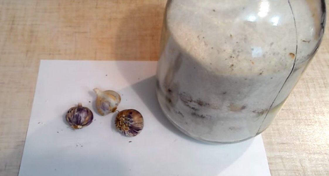 Как сохранить чеснок на зиму: полезные советы и необычные способы хранения