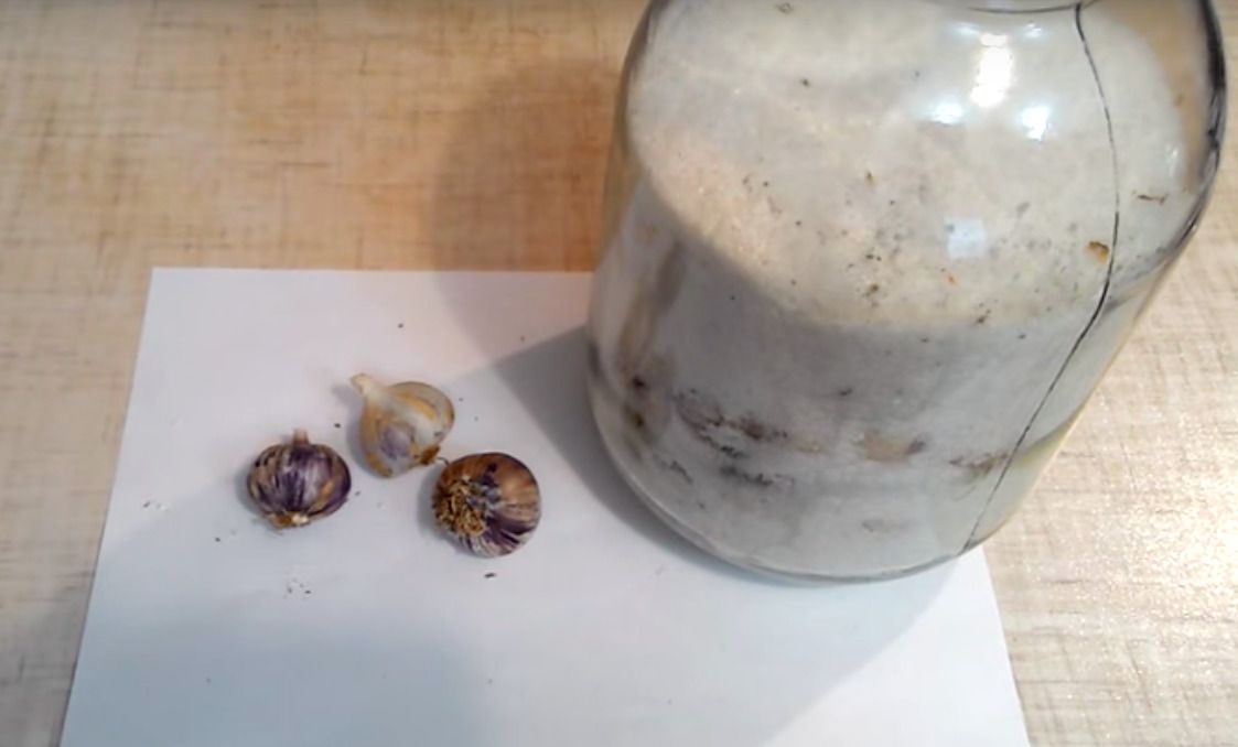 Как сохранить чеснок на зиму: полезные советы и необычные способы хранения