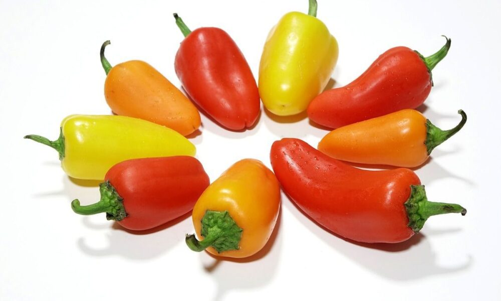 Когда сажать рассаду перца в феврале: благоприятные дни, пикировка и уход за растениями