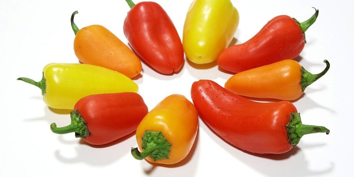 Когда сажать рассаду перца в феврале: благоприятные дни, пикировка и уход за растениями