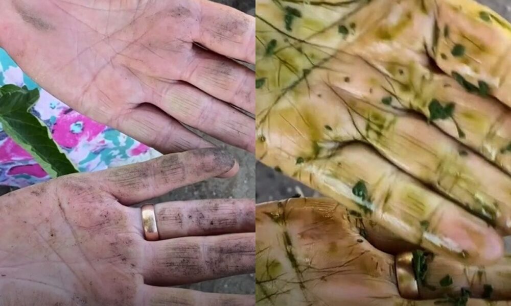 Чем отмыть руки после работы в огороде: эффективные способы