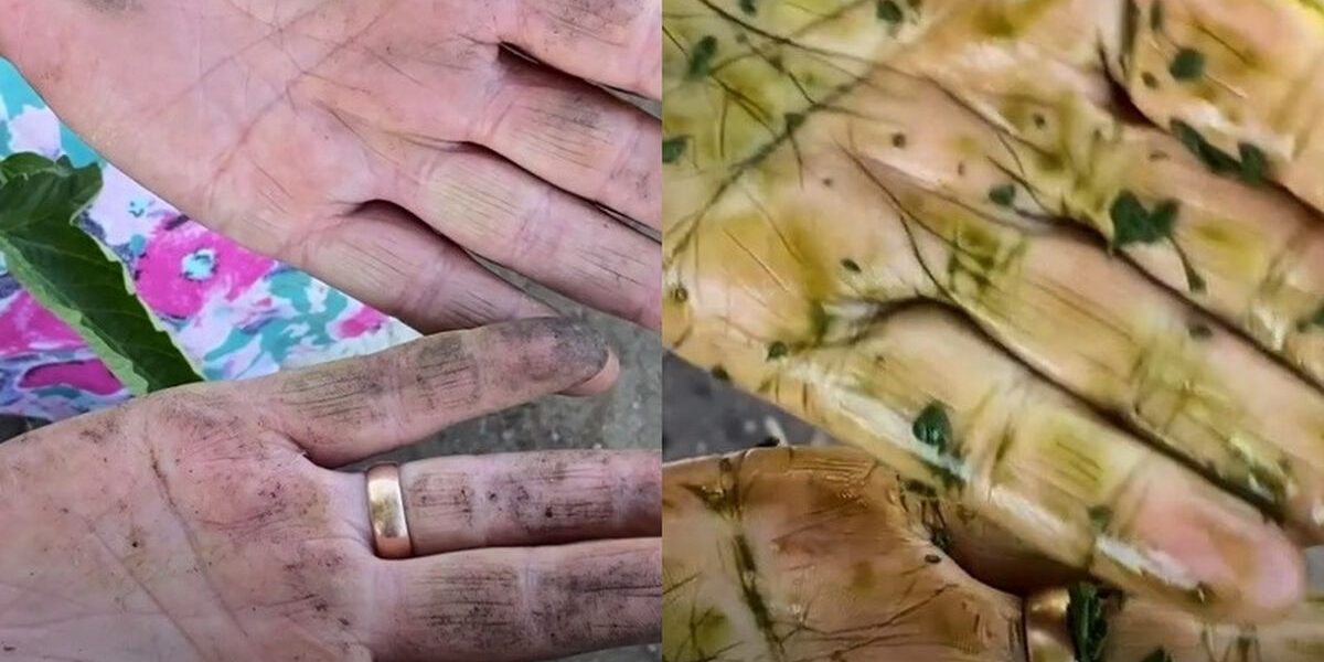 Чем отмыть руки после работы в огороде: эффективные способы