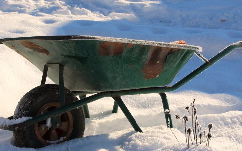 Подкормка растений по снегу: польза и эффективность для вашего сада и огорода