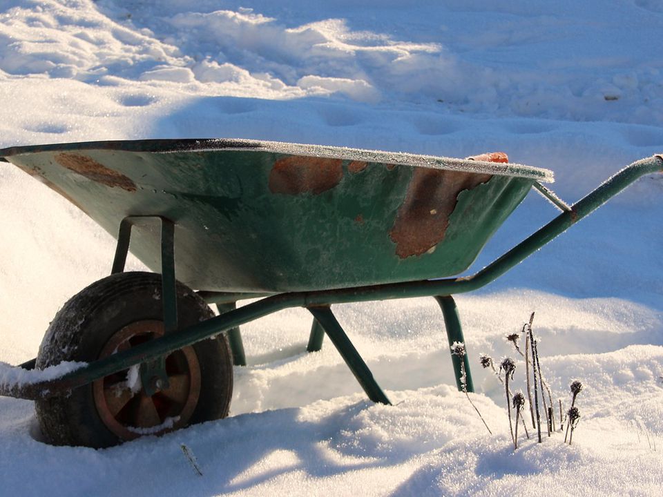 Подкормка растений по снегу: польза и эффективность для вашего сада и огорода