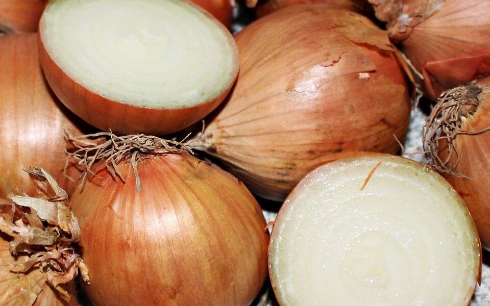 Как сохранить лук свежим до 6 месяцев: секреты длительного хранения