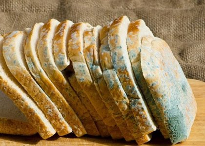 Опасная плесень в еде: как защитить здоровье