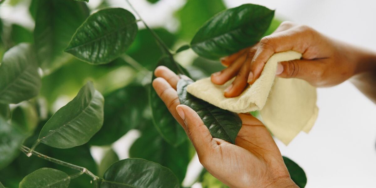 Признаки одержимости чистотой: что выдает перфекциониста в уборке