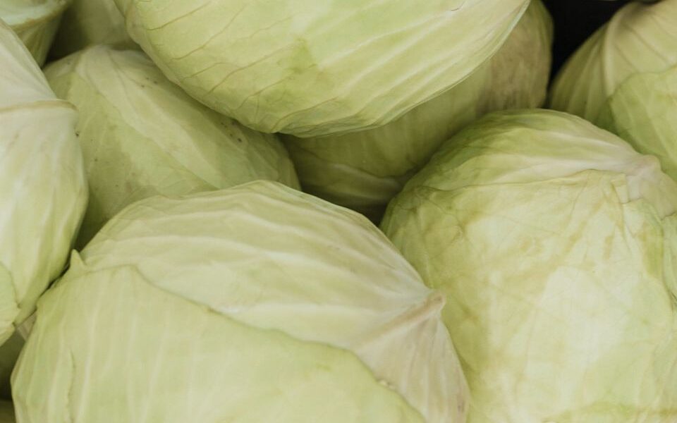 Как сохранить капусту свежей до весны: простые советы и хитрости