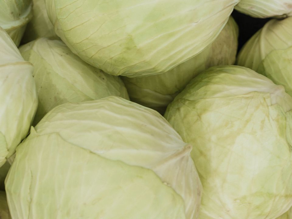 Как сохранить капусту свежей до весны: простые советы и хитрости
