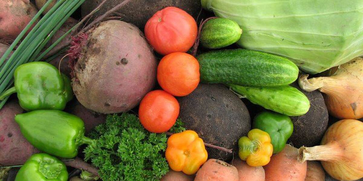 Как сохранить урожай: советы хозяйкам по хранению овощей и фруктов