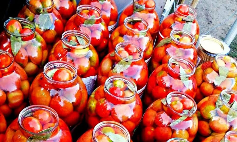 Вкуснейшие помидоры на зиму: бабушкин рецепт пальчики оближешь