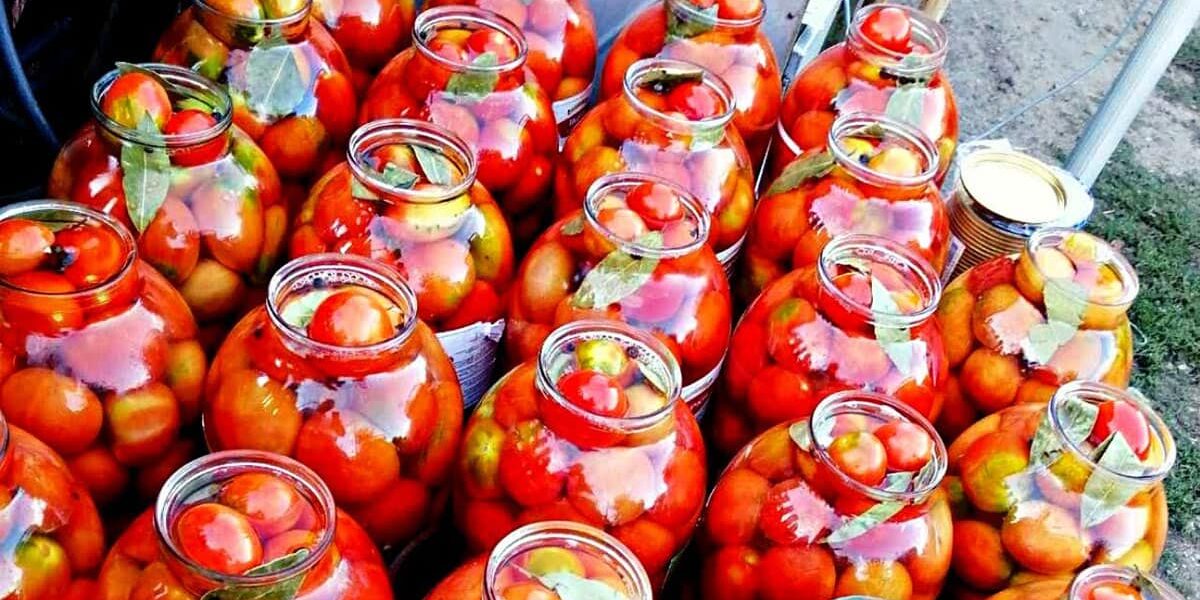 Вкуснейшие помидоры на зиму: бабушкин рецепт пальчики оближешь