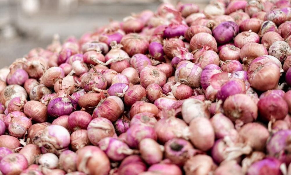 Секреты богатого урожая лука: советы для хозяек