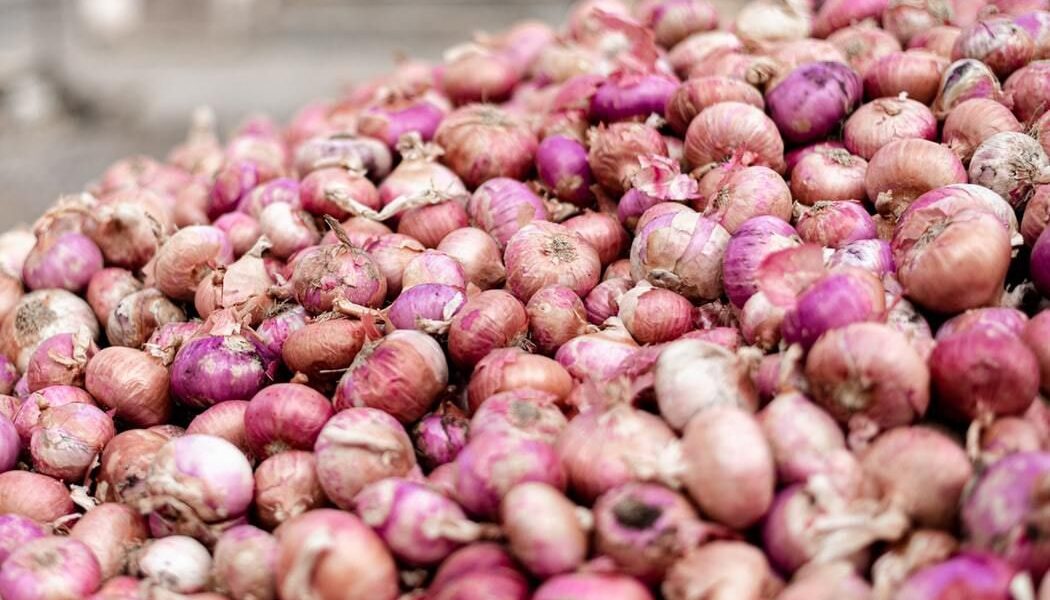 Секреты богатого урожая лука: советы для хозяек