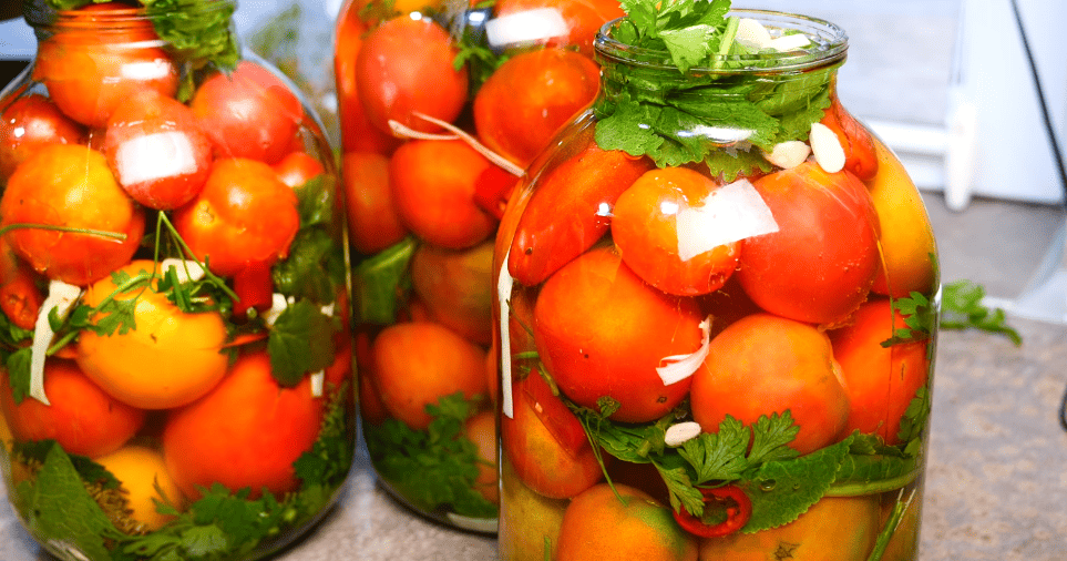 Квашеные помидоры на зиму: простой и вкусный рецепт для каждой хозяйки