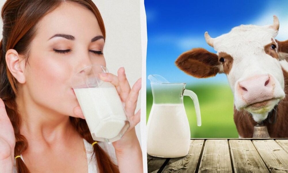 Растительное молоко: польза и вред для женщин, как выбрать и употреблять