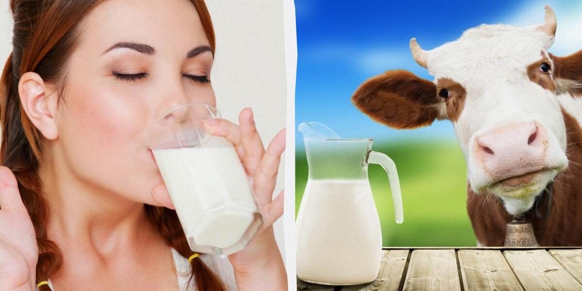 Растительное молоко: польза и вред для женщин, как выбрать и употреблять